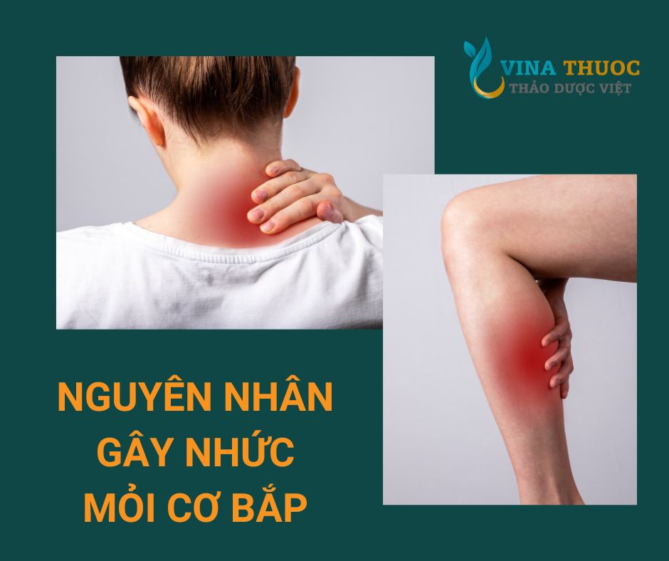 Nguyen-nhan-gay-nhuc-moi-co-xuong-khop.jpg